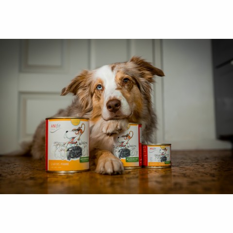 Hund Nassfutter Schäfers Pfanne 200g 6 Stück -3- Anifit