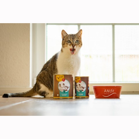Katze Nassfutter RyCat Bio-Ente 800g 6 Stück -3- Anifit